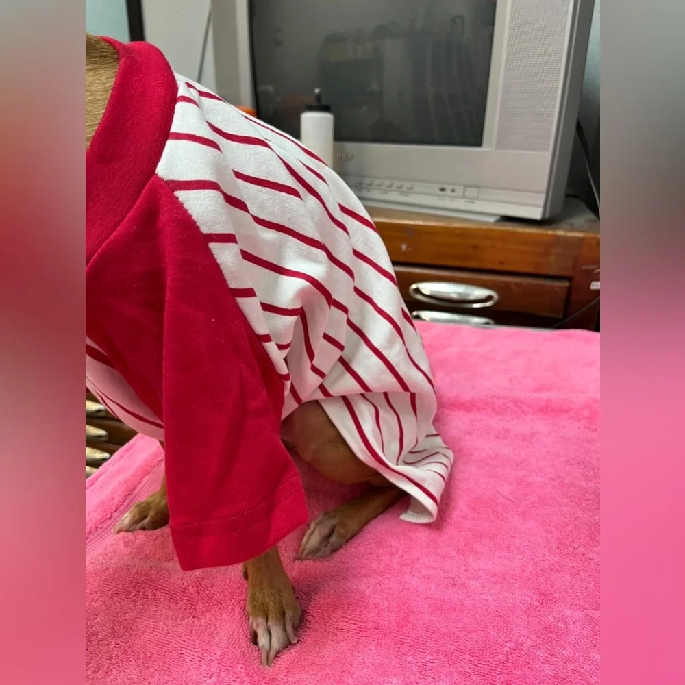 Red and White Baseball Striped Dog Shirt